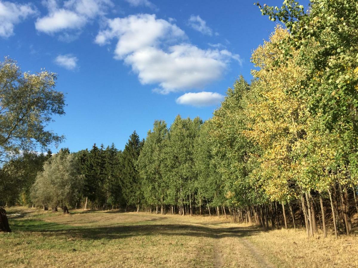 Ferienwohnung Felix Templin Bagian luar foto
